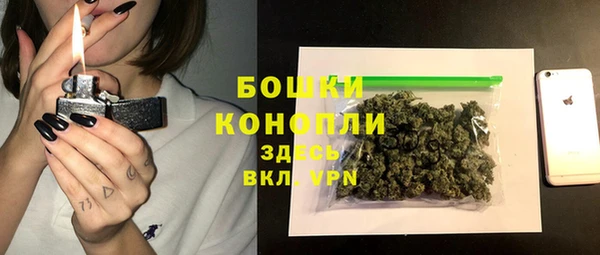 индика Белоозёрский