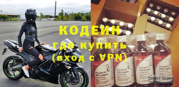 ГАЛЛЮЦИНОГЕННЫЕ ГРИБЫ Тайга