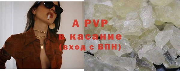 спайс Сясьстрой