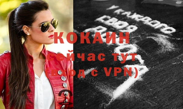 ГАЛЛЮЦИНОГЕННЫЕ ГРИБЫ Тавда