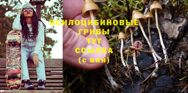индика Белоозёрский