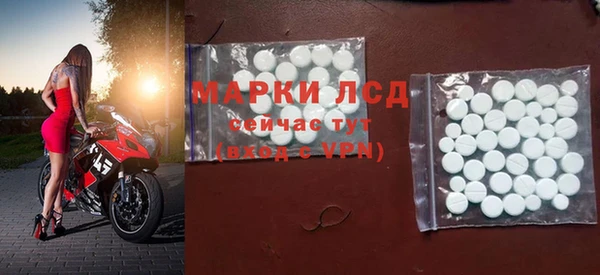 индика Белоозёрский