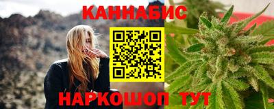 гашик Моздок
