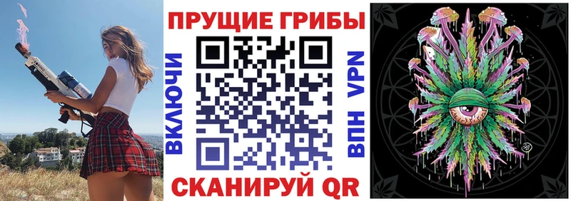 Псилоцибиновые грибы мицелий  купить наркоту  Бутурлиновка 