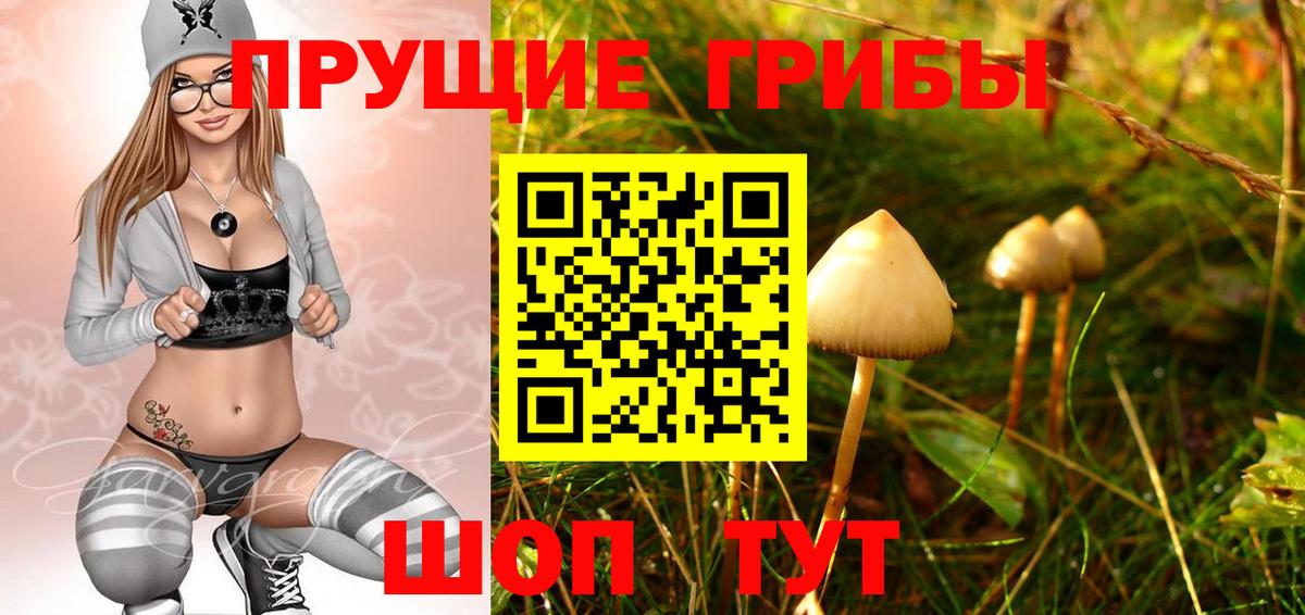 Бутурлиновка  Галлюциногенные грибы Psilocybine cubensis  Вход с VPN 