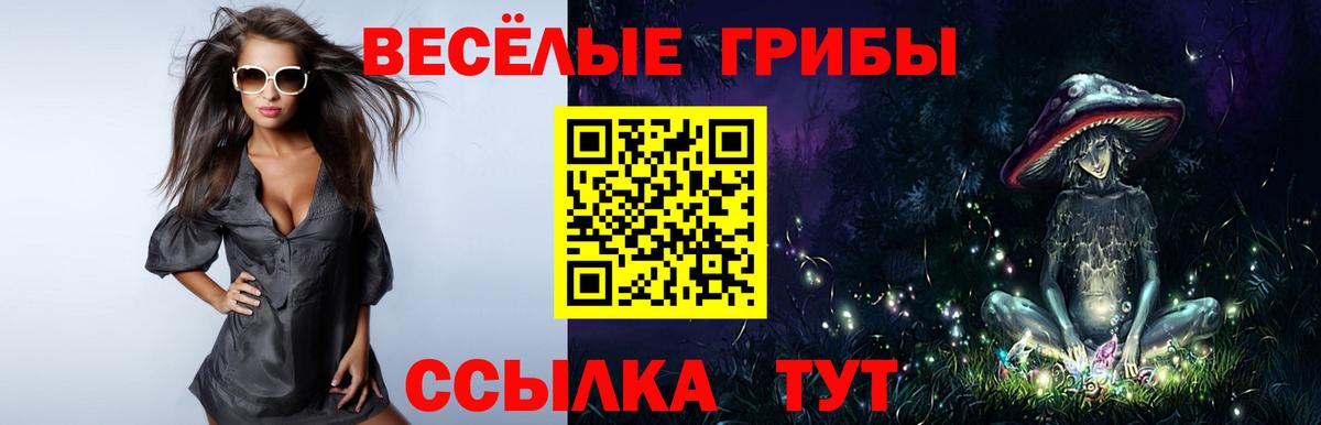 Галлюциногенные грибы Cubensis Бутурлиновка